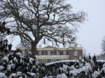 Bellinckhof